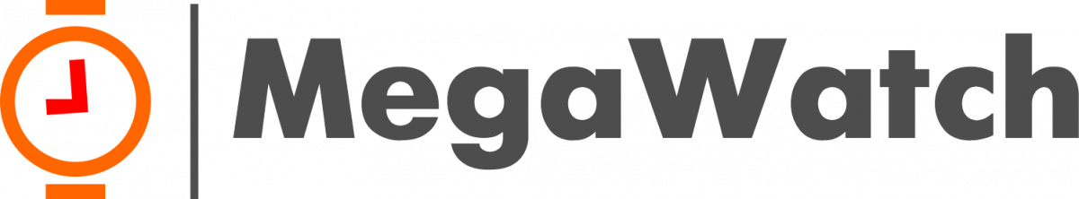 MegaWatch MegaWatch